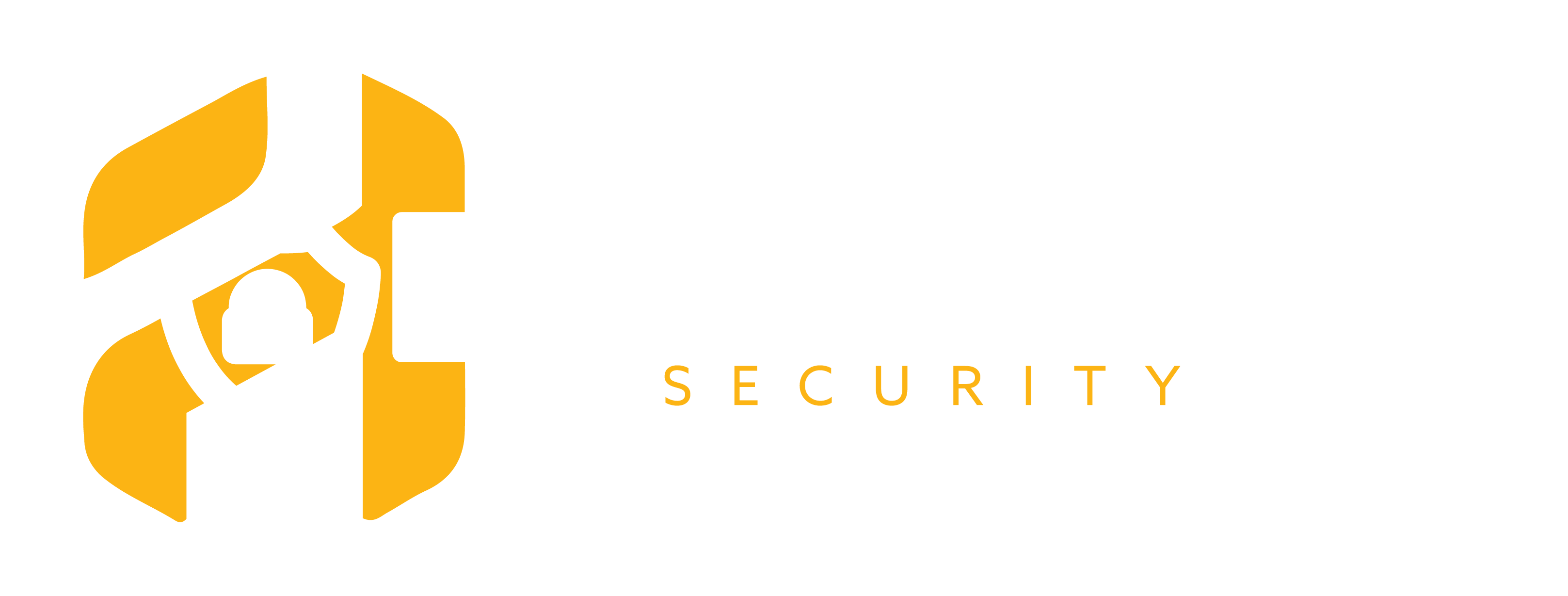 Hlaulie Power Group Logo [Finals]-02